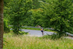 Mauer-von-Uckerath-161