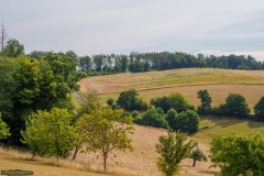 Mauer_von_Uckerath_2025-218