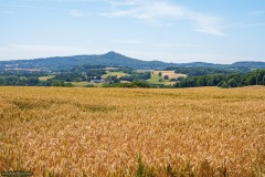 Mauer_von_Uckerath_2025-508