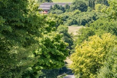 Mauer_von_Uckerath_2025-619
