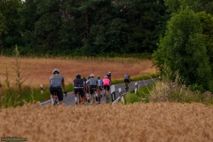 Mauer_von_Uckerath_2025-75